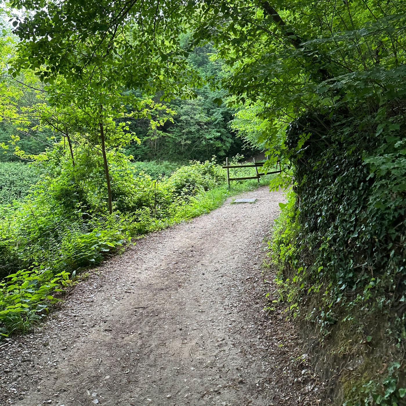 Asolo Urban Trail