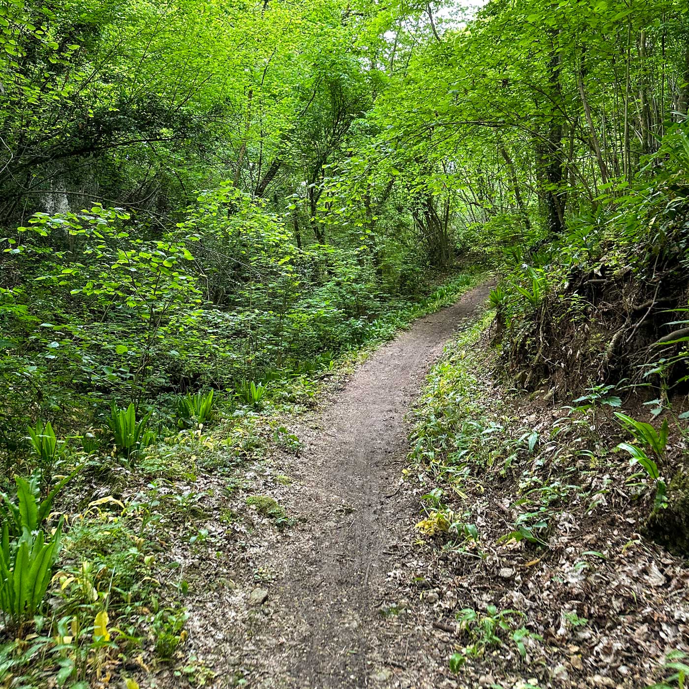 Asolo Urban Trail